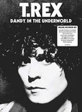 the album cover for T. Rex - Dandy In The Underworld [Import]