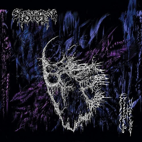 the album cover for Spectral Voice - Eroded Corridors Of Unbeing
