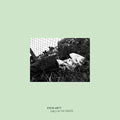 the album cover for Steve Hiett - Girls In The Grass [Remastered]