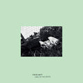 the album cover for Steve Hiett - Girls In The Grass (Ofgv) [Remastered]