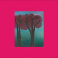 the album cover for Andre Ethier - Croak In The Weeds