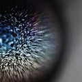 the album cover for Emptyset - Blossoms [Clear Vinyl] [Limited Edition]