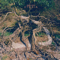 the album cover for Bremer/McCoy - Utopia [LP]