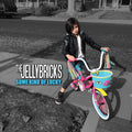 the album cover for Jellybricks - Some Kind Of Lucky