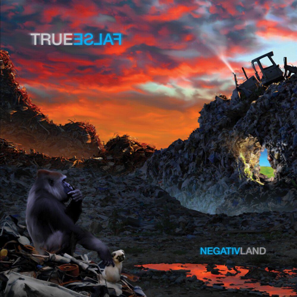 the album cover for Negativland - True False