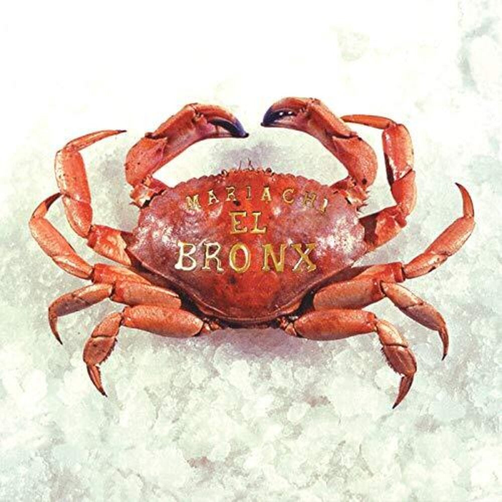 the album cover for Mariachi El Bronx - Mariachi El Bronx I: 10 Year Anniversary Edition [Transparent Smoke LP]
