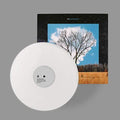 the album cover for Fink - Bloom Innocent [LP]