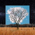the album cover for Fink - Bloom Innocent