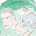 the album cover for Flesh World - Into The Shroud