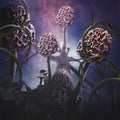 the album cover for Unknown Artist - Hallucinogen