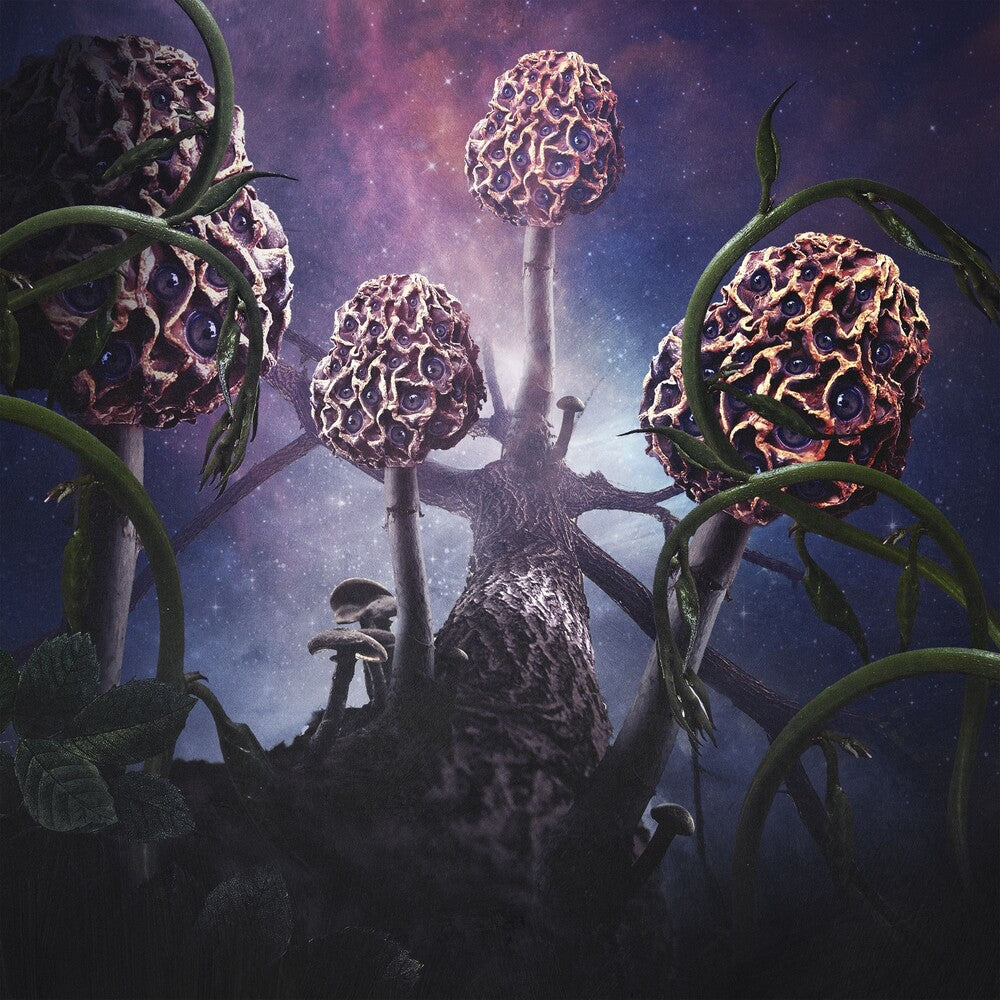 the album cover for Unknown Artist - Hallucinogen