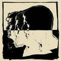 the album cover for The Avett Brothers - Closer Than Together