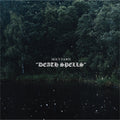 the album cover for Holy Fawn - Death Spells