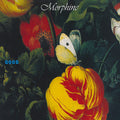 the album cover for Morphine - Good (Gate) [180 Gram] (Exp)