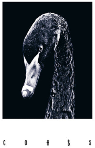 the album cover for Coh - Cohgs