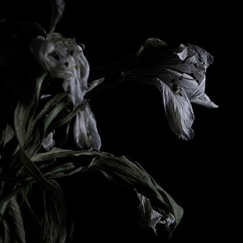 the album cover for Cavernlight - As We Cup Our Hands & Drink From The Stream Of Our