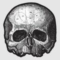 the album cover for Black Label Society - Black Pearl