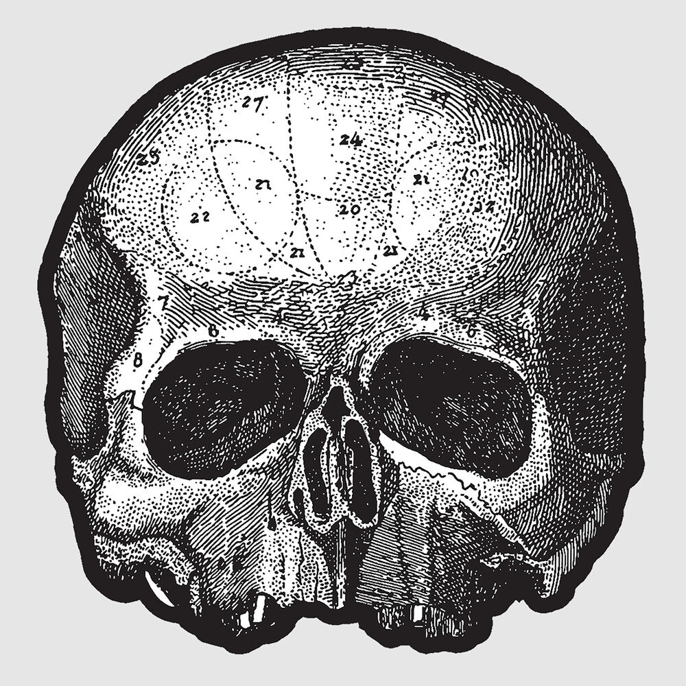 the album cover for Black Label Society - Black Pearl
