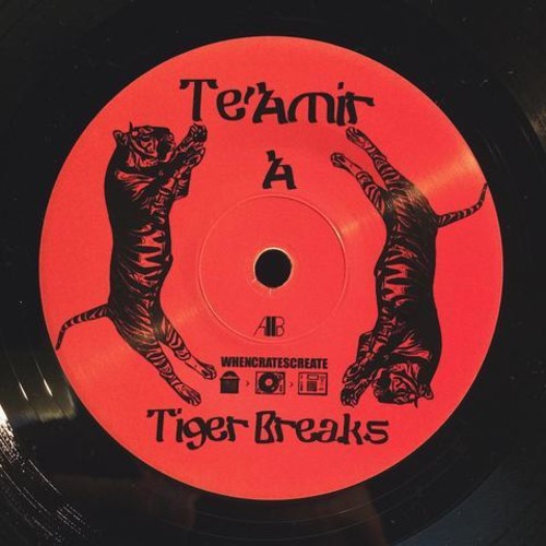 the album cover for Teamir Sweeney - Tiger Breaks