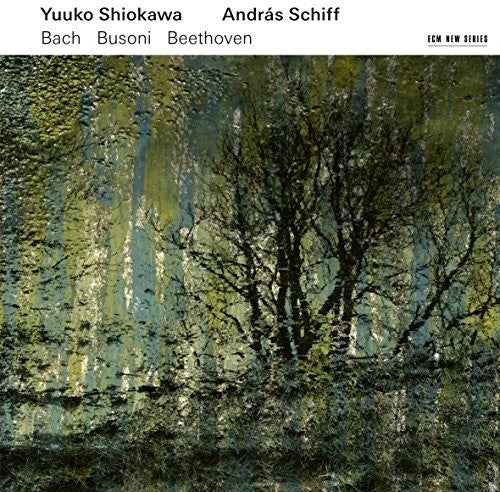 the album cover for Shiokawa / Schiff - Violin Sonatas (Bach Beethoven Busoni)