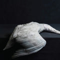 the album cover for Amenra - Mass Vi