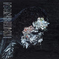the album cover for Deafheaven - New Bermuda