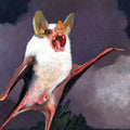 the album cover for Ninos Du Brasil - Vida Eterna