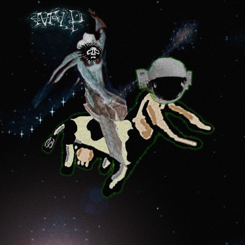 the album cover for Matt Valentine - Preserves [Digipak]