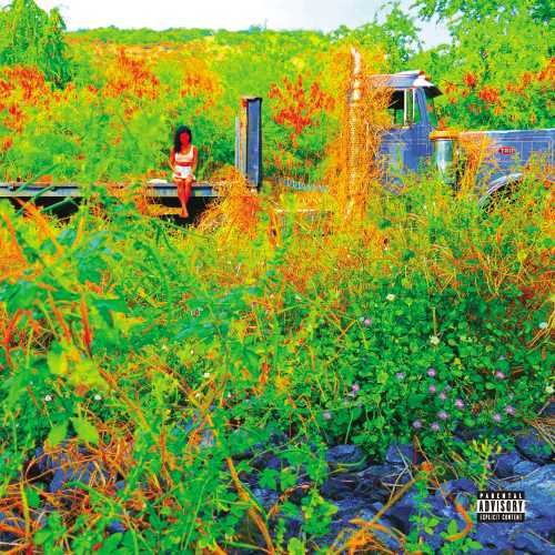 the album cover for Jhene Aiko - Trip