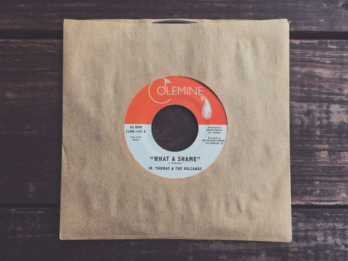 the album cover for Jr. Thomas & The Volcanos - What A Shame / Brian Wilson [Vinyl Single]