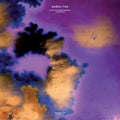 the album cover for Ruins - Marea / Tide