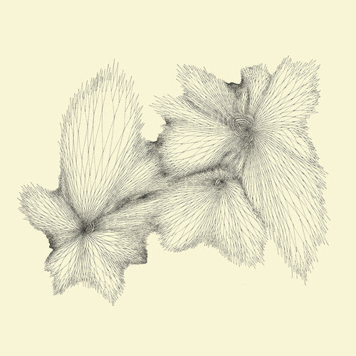 the album cover for Eyvind Kang - Plainlight