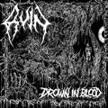 the album cover for Ruin - Drown In Blood
