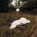 the album cover for Hippo Campus - Warm Glow EP [Vinyl]