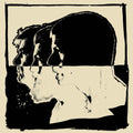the album cover for The Avett Brothers - Closer Than Together [2LP]