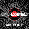 the album cover for Professionals - What In The World