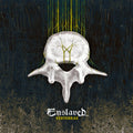 the album cover for Enslaved - Vertebrae