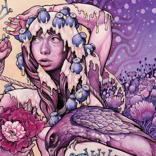 the album cover for Baroness - Try To Disappear [Limited Edition Picture Disc Vinyl]