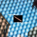 the album cover for David Gray - White Ladder (2020 Remaster) [2LP White Vinyl]