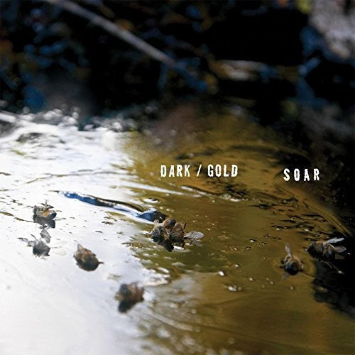 the album cover for Soar - Dark / Gold [Download Included]