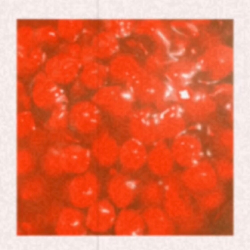 the album cover for Broncho - Bad [RSD BF 2019]
