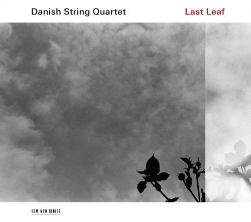 the album cover for Danish String Quartet - Last Leaf
