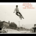 the album cover for Pernice Brothers - Spread The Feeling
