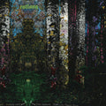 the album cover for Entlang - The Four Sisters