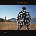 the album cover for Pink Floyd - Delicate Sound Of Thunder (Live) [LP]