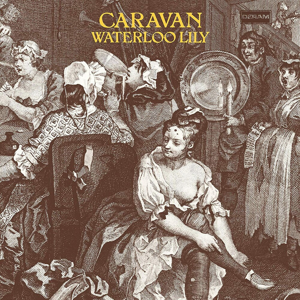 the album cover for Caravan - Waterloo Lily