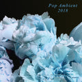 the album cover for Pop Ambient 2018 / Various - Pop Ambient 2018 (Various Artists)