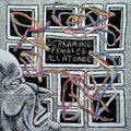 the album cover for Screaming Females - All At Once