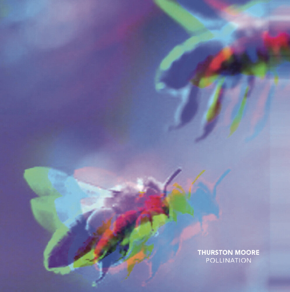 the album cover for Thurston Moore - Pollination / Leave Me Alone