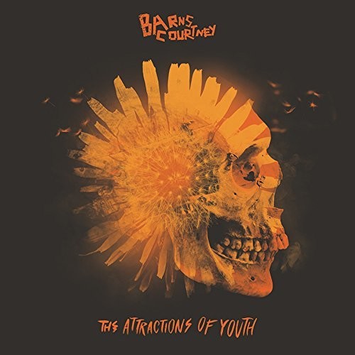 the album cover for Barns Courtney - The Attractions Of Youth [Picture Disc LP]